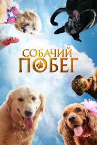  Собачий побег  смотреть онлайн в хорошем качестве