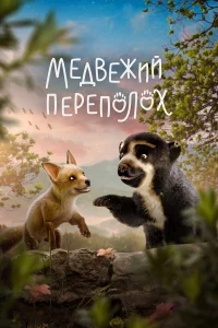  Медвежий переполох  смотреть онлайн в хорошем качестве